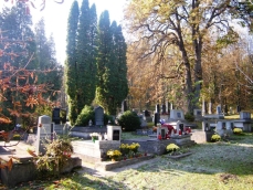 powiększ