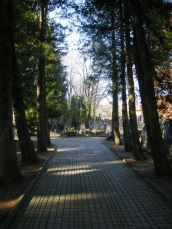 powiększ