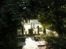powiększ