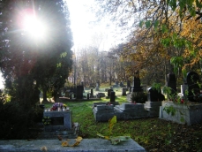 powiększ