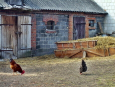 powiększ