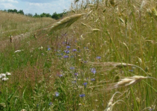 powiększ