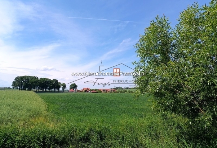 Działka na sprzedaż o pow. 600 m2