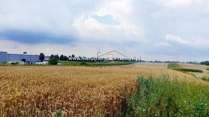 Działka na sprzedaż o pow. 1000 m2