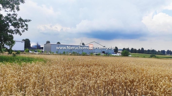 Działka na sprzedaż o pow. 1000 m2