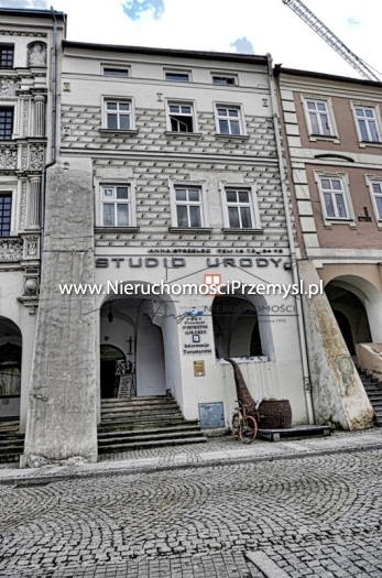 Dom na sprzedaż o pow. 831 m2