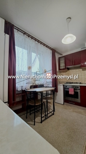 Mieszkanie na wynajem o pow. 50 m2
