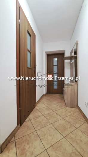 Mieszkanie na wynajem o pow. 50 m2