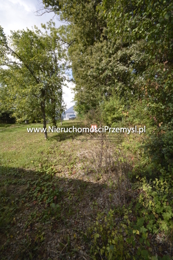 Dom na sprzedaż o pow. 50 m2