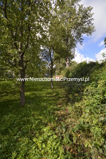 Dom na sprzedaż o pow. 50 m2
