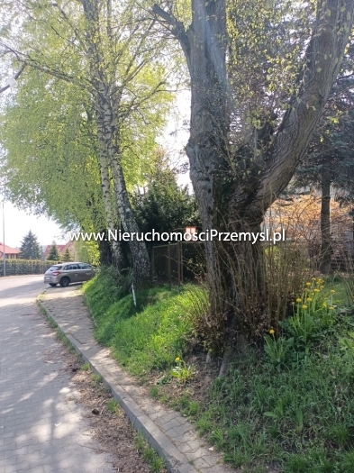 Dom na sprzedaż o pow. 220 m2
