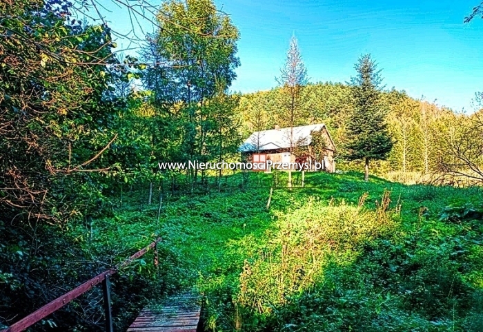 Dom na sprzedaż o pow. 55 m2